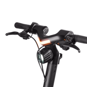Elektriskais skrejritenis REBEL FAST WHEELS PRO MAX