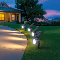 Forever Light LED Solar Spot Light SUNARI FME-185 9 SMD LED