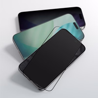 AmazingThing Radix privātuma aizsargstikls iPhone 17 Pro