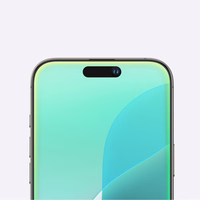 AmazingThing Radix matētā stikla rūdītais aizsargstikls iPhone 16 viedtālrunim