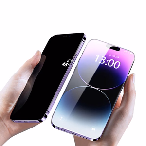 Aizsargstikls Tel Protect 10X Privacy Titanium priekš Samsung Galaxy S25 Plus/S24 Plus (ar pirksta nospieduma atbloķēšanu)