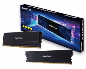 Biostar DDR4 Storming V memory module 8 GB 1 x 8 GB 3200 MHz (DX32NU4H08)