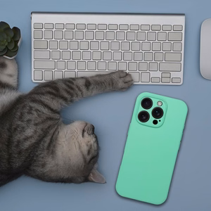 Silikona viedtālruņa apvalks 2mm IPHONE 16 Plus saderīgs ar Magnētisko piparmētru