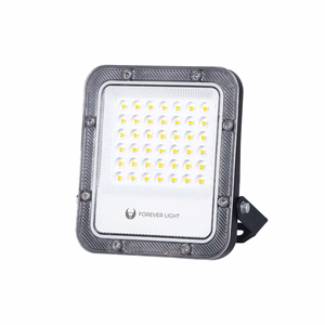 Floodlight LED PROXIM+ 30W 6500K 4500lm 230V IP65 Forever Light 150lm/W 5 years warranty