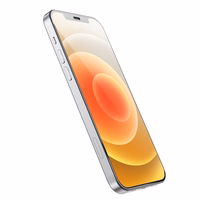 HOCO rūdītais stikls HD Anti-static (komplekts 25in1) - MULTIPACK iPhone 12 Pro Max (G10)