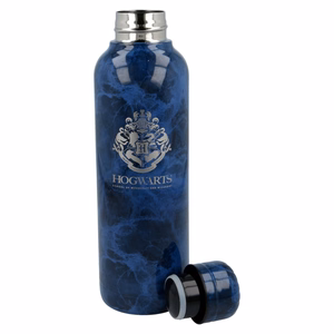 Harry Potter Hogwarts nerūsējošā tērauda termopudele, 515 ml