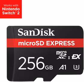 Atmiņas karte Micro SDXC 256GB UHS-I SanDisk SDSQXFN-256G-GN4NN