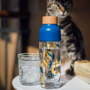 Quokka Ice Ecozen ūdens pudele, 720 ml, Bambuss