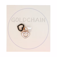 Putekļu aizbāznis DSP-13 Lightning