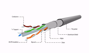 Gembird CAT6 FTP 100m tīkla kabelis pelēks F/UTP (FTP)
