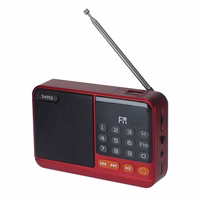 Setty mini FM radio + Bluetooth skaļrunis SFM-01M