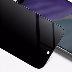AmazingThing Radix privātuma aizsargstikls iPhone 17 Pro Max