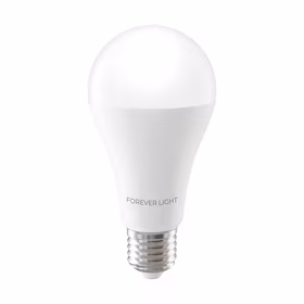Forever Light LED Bulb E27 A65 17W 2100lm 3000K class E