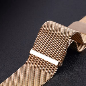 DUX DUCIS siksniņa MILANESE nerūsējošā tērauda magnētiskais 22 mm zelta