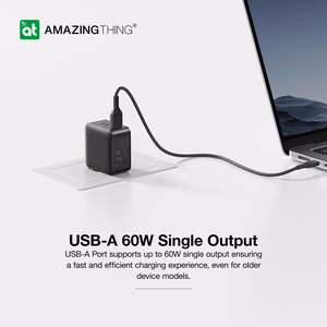 Amazing Thing Sienas lādētājs Thunder Pro GaN EUTH66W - USB + 2xType C - PD 66W melns
