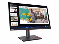 LENOVO ThinkVision P24q-30 23.8 collu monitors