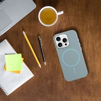 Spīdīgs magnētiskais apvalks saderīgs ar MagSafe IPHONE 16 PLUS piparmētru