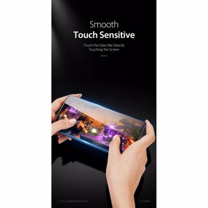 Rūdīts stikls Dux Ducis TG Samsung Tab S7 / S8 / S9 / S9 FE / S10 FE 10.9'' (Blister)