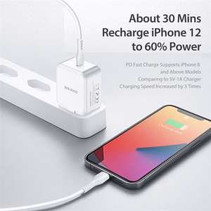 Wall charger Dux Ducis C100 - Type C - PD 30W 3A white