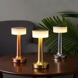 Night lamp WDL-01 wireless silver
