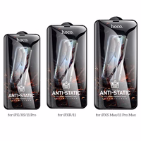 HOCO rūdītais stikls HD Anti-static (komplekts 25in1) - MULTIPACK iPhone X / iPhone XS / iPhone 11 Pro (G10)