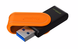 Kingston Technology DataTraveler 256GB Portable USB 3.2 Gen 1 Exodia S (чёрный/оранжевый)