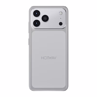 HOTWAV A17 Pro Max viedtālrunis (sudrabs)