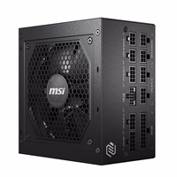 MSI MAG A850GL 850W PCIE5 II 80+ zelta Power Supply (306-7ZP8D11-CE0)