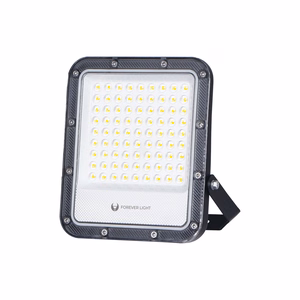 Floodlight LED PROXIM+ 50W 4000K 7500lm 230V IP65 Forever Light 150lm/W 5 years warranty