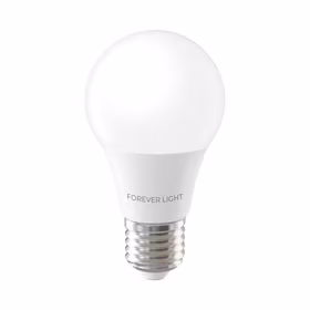 Forever Light LED Bulb E27 A60 7W 806lm 6000K class E