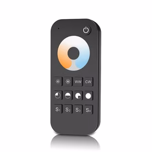 RT2 Remote Control, 1 Zone CCT