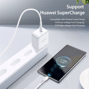 Wall charger Dux Ducis C100 - Type C - PD 30W 3A white