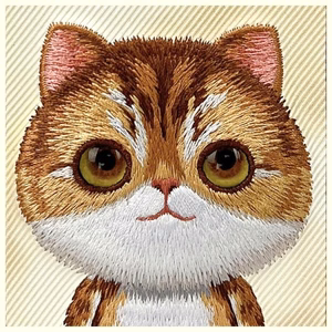 Nimmy Big Eyed Pet 2.0 Cat Case for iPhone 16 Pro - Green