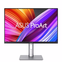 ASUS ProArt PA248CRV monitors 61.2 cm (24.1") 1920 x 1200 pikseļi WUXGA LCD melns, sudrabs