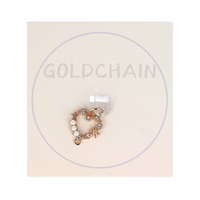 Putekļu aizsargs DSP-17 Type-C