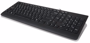 Lenovo 300 keyboard Mouse included Universal USB QWERTY US English melns