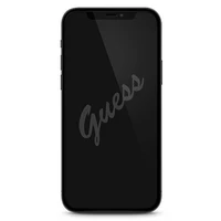 Guess aizsargstikls GUSPP12LSLTR iPhone 12 Pro Max 6.7" Vintage Magic Logo