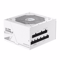 Gigabyte UD1000GM 1000W PG5 ICE Power Supply (GP-UD1000GM PG5 ICE)