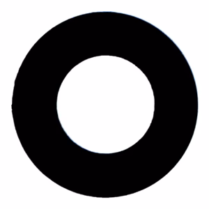 Apple iPhone XR Camera Lens ORG