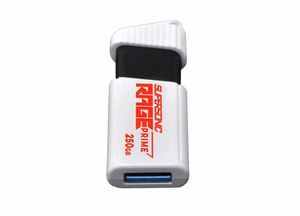 Patriot Rage Prime 600 MB/S 256 GB USB 3.2 8K IOPS