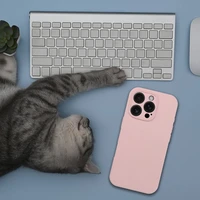 Silikona 2 mm viedtālruņa apvalks IPHONE 16 Plus, saderīgs ar MagSafe, smilšu rozā krāsas