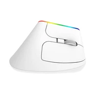 Bezvadu vertikālā pele Delux M618C 2.4G 1600DPI RGB (balta)