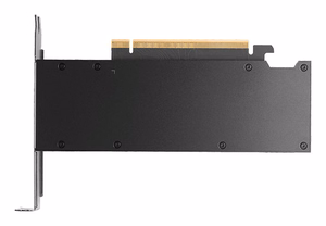 NVIDIA PNY RTX PRO 2000 Blackwell videokarte, 16 GB GDDR7