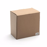 BEST ultraskaņas tīrītājs (700ml)