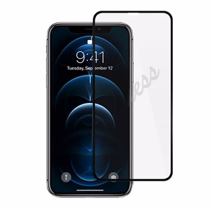 Guess aizsargstikls GUSPP12MSLTR iPhone 12/12 Pro 6.1" Vintage Magic Logo