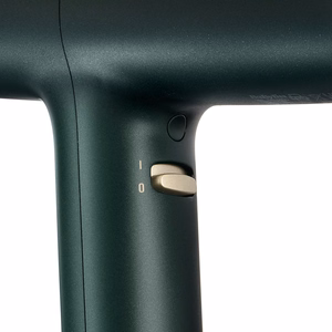BaByliss Air Power Pro D6555DE – 1700 W joniskais matu fēns, zaļš / zelta