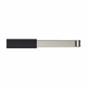 Lexar Fingerprint F35pro USB 3.2 256GB zibatmiņa