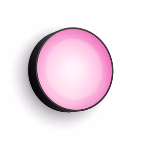 Philips Hue WCA Daylo Outdoor Wall Lantern, Black 15 W 2000-6500 Hue White Colour Ambiance