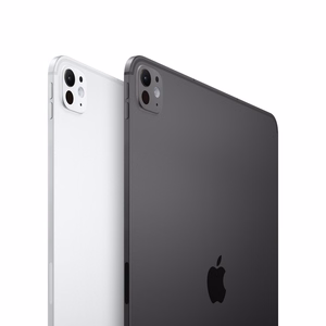 Apple iPad 13 дюймов Pro Wi-Fi + Cellular 256 GB со стандартным стеклом - серебристый