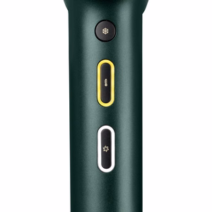 BaByliss Air Power Pro D6555DE – 1700 W joniskais matu fēns, zaļš / zelta